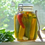 Rediscovering the Lost Art of the Pickle, in Ten Minutes