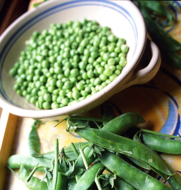 Dreaming of fresh baby peas…. real ones iatCampo dei Fiori market, Rome. Credit: @ Paolo Destefanis, www.paolodestefanis.com